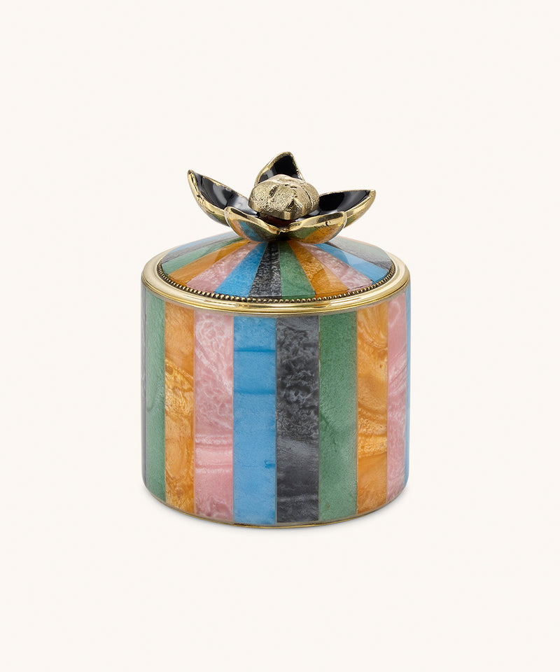 Liv circus box multi color