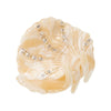 Petite Ariel Claw - Cream - Hårklemme