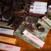 Pärlans – Pistachio & Sea Salt Caramel Bar