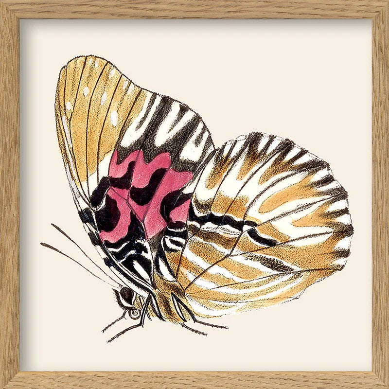 Yellow Butterfly mini 15 x 15 inkl. ramme