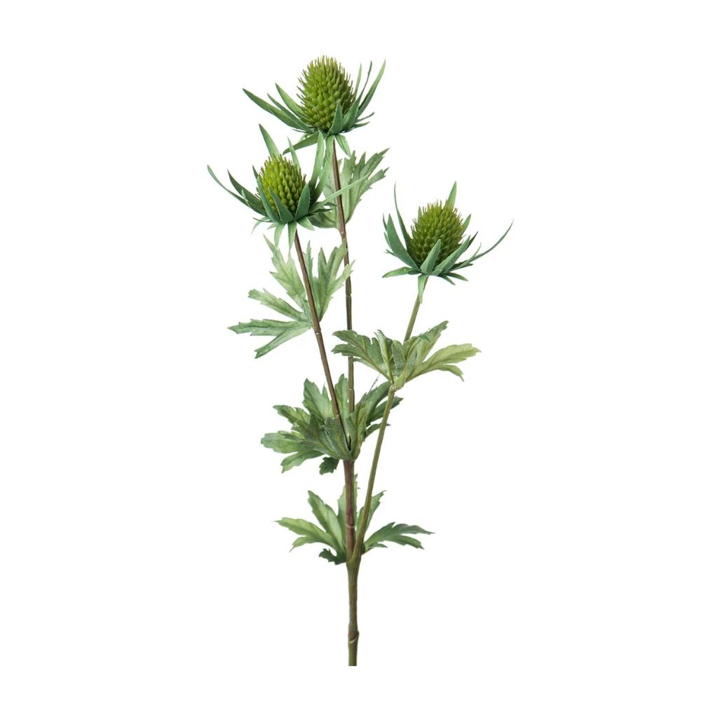 Silkeblomst Tidsel - 60 cm