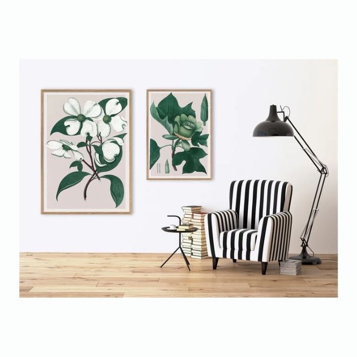 Cornus Florida- 50 x 70 cm. inkl. egetræsramme