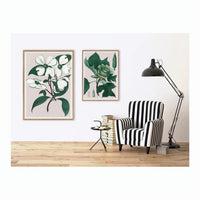 Cornus Florida- 50 x 70 cm. inkl. egetræsramme